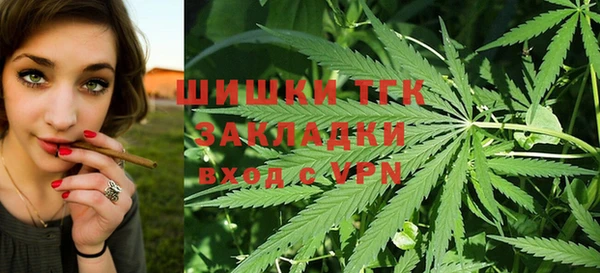 трава Елабуга