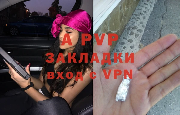 кокс Дмитриев