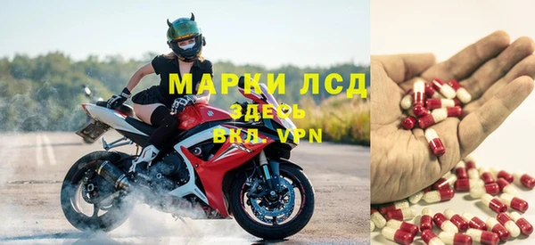 кокс Дмитриев